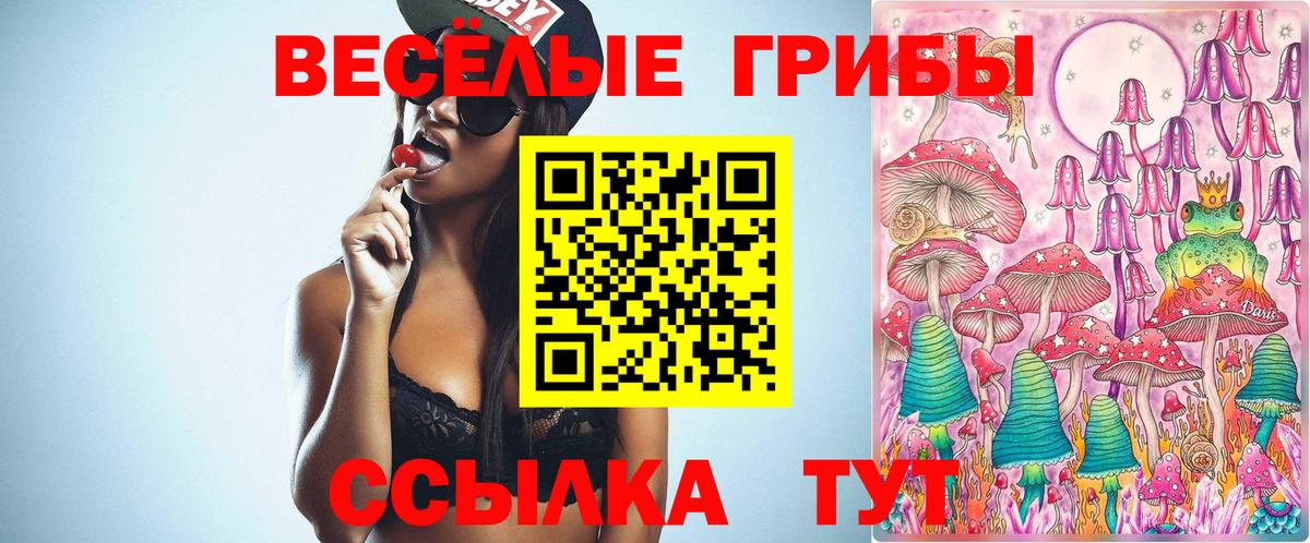 Галлюциногенные грибы Magic Shrooms  Вход с VPN  Чернушка  Галлюциногенные грибы ЛСД 