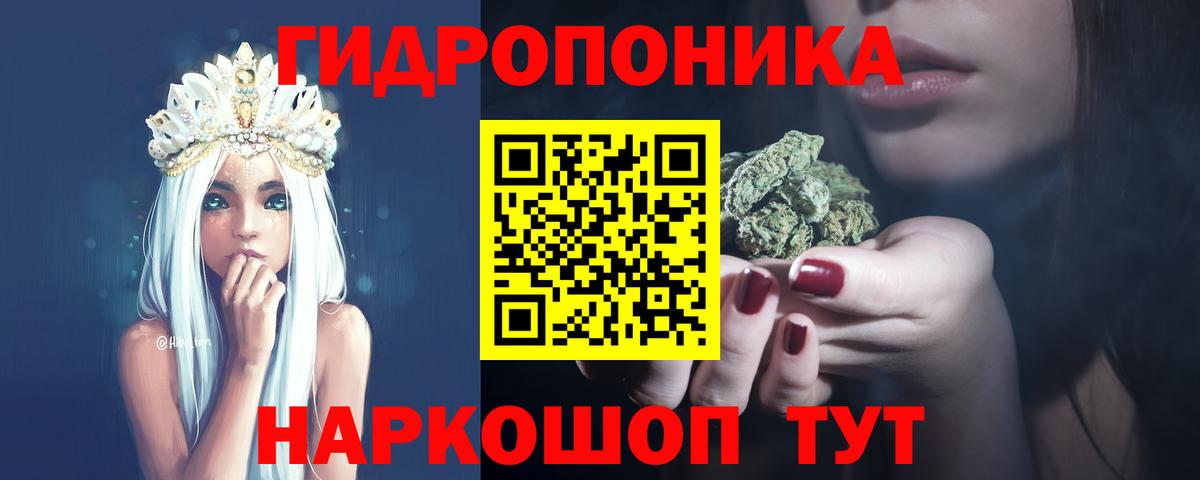 Бошки Шишки семена  МАРИХУАНА Bruce Banner  Вход с VPN  МАРИХУАНА план  Чернушка  Бошки Шишки конопля 